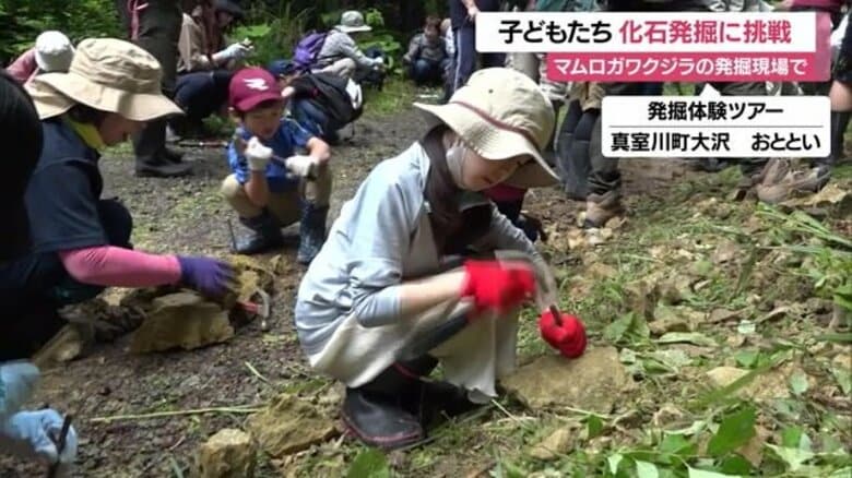 “大発見”を夢見て…600万年前のマムロガワクジラの化石発掘現場で化石探しに挑戦 「魅力の一端を多くの人に」【山形発】｜FNNプライムオンライン