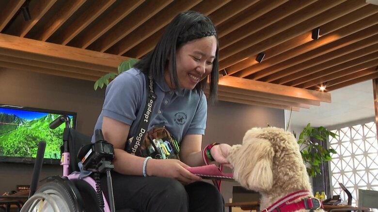 病気で車いす生活に…23歳女性「介助犬の訓練士」目指して　極度の倦怠感、筋肉や関節の痛み…大学も夢も断念「諦めることばかりの日々」　見つけた新たな目標「誰かを支えたい」経験を強みに変えて前へ｜FNNプライムオンライン