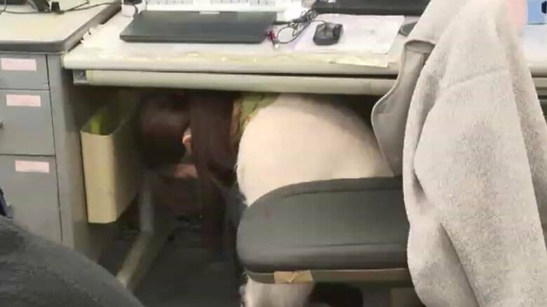 阪神・淡路大震災からまもなく31年　命を守る3つの動作を確認　震度6強を想定した防災訓練　福岡・久留米市｜FNNプライムオンライン