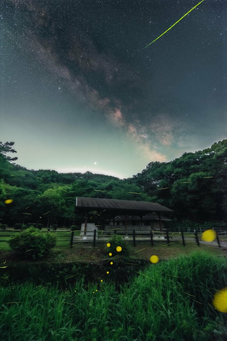 ゲンジボタルを撮影