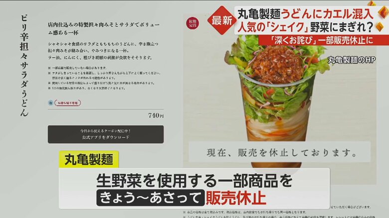 生野菜を使用する一部商品を5月23～25日販売休止