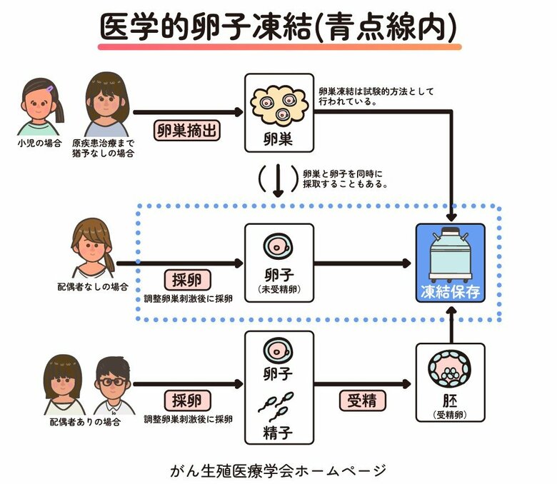 図３