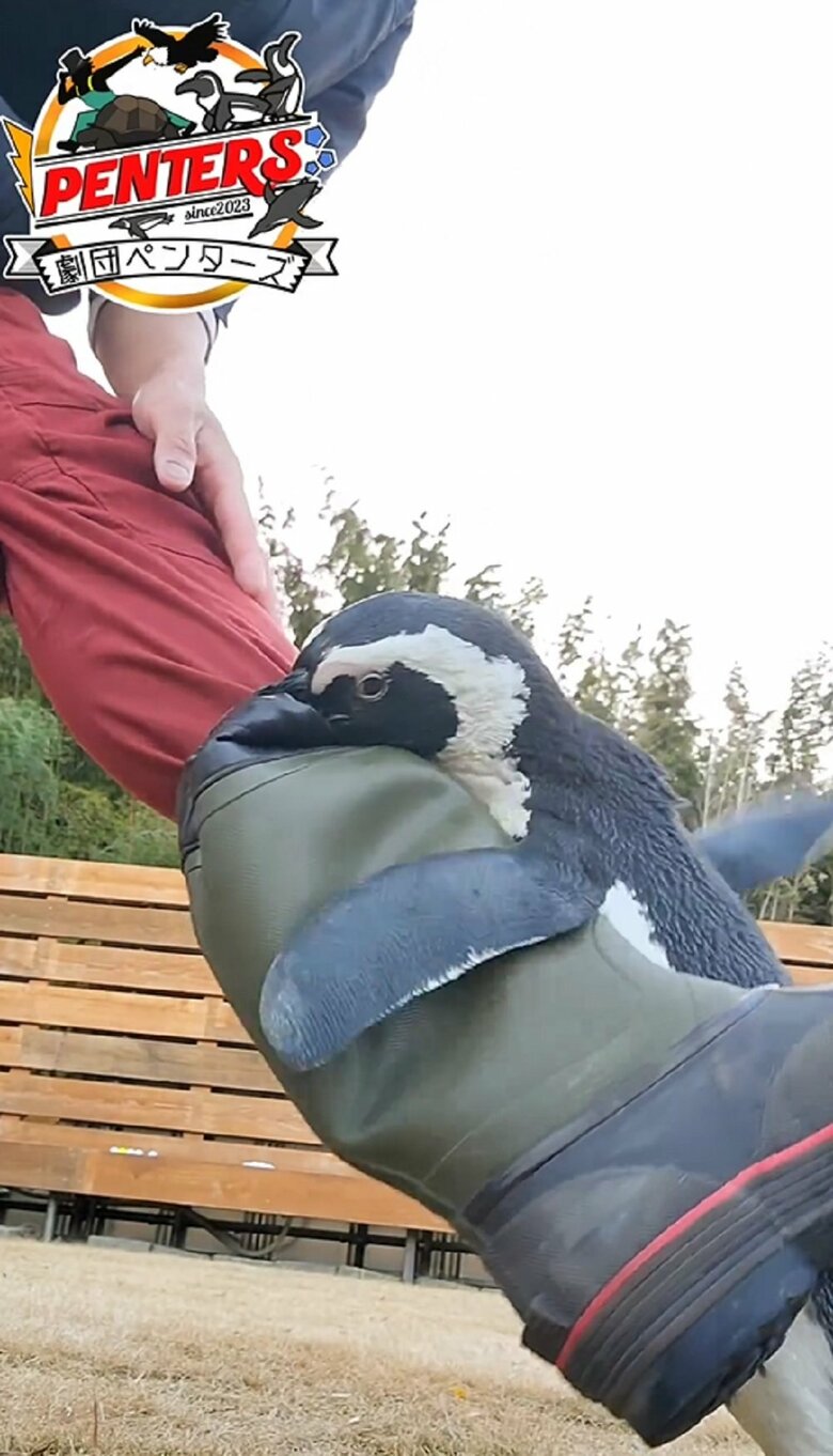 イマイケルさんが足を持ち上げても