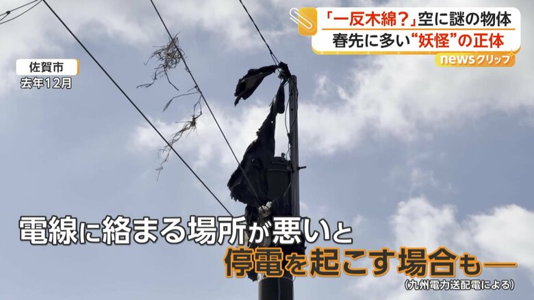 絡まる場所が悪ければ停電を起こす場合も