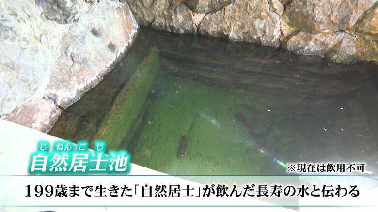 “長寿の水”といわれる自然居士池の水