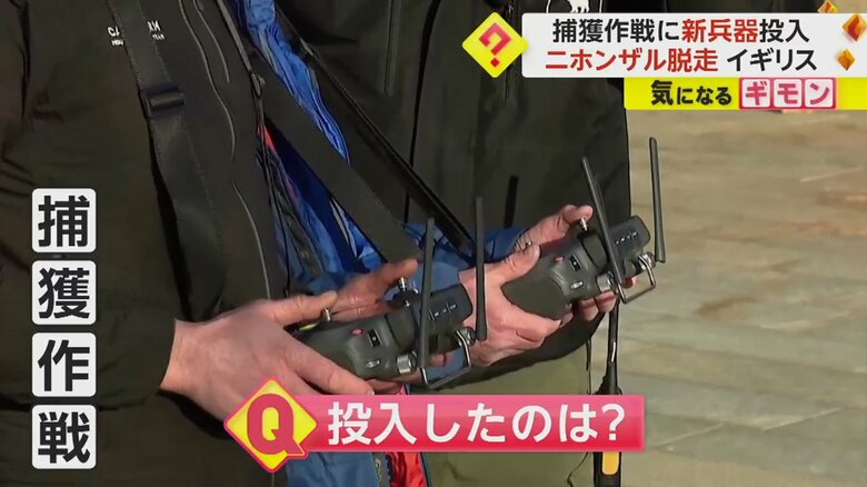 捕獲作戦のために導入されたドローン