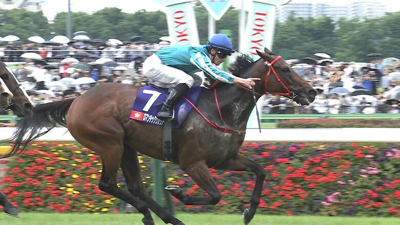 2024年の安田記念を制したロマンチックウォリアー