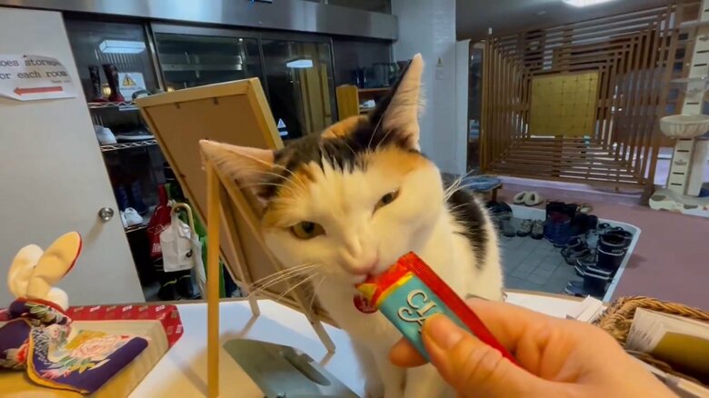 ちゅ～るをもらってこの表情