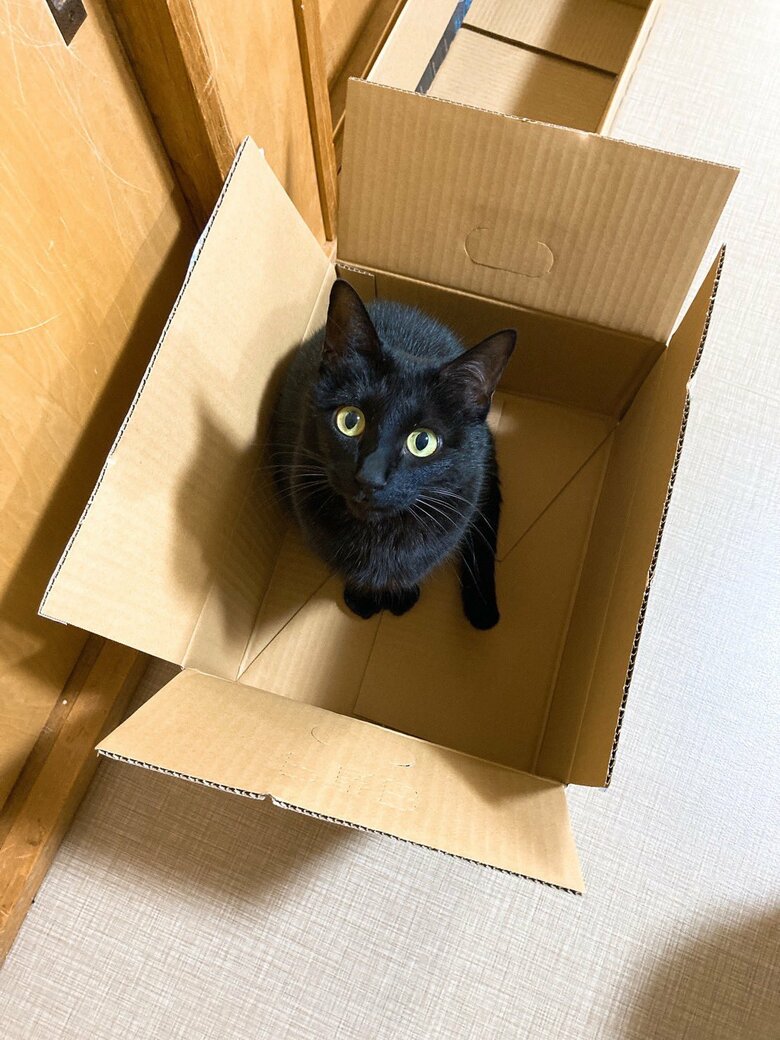 提供：マクーさん