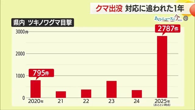 クマのエサとなるブナの実が、2年ぶりの「大凶作」だったことと関係するのだろうか