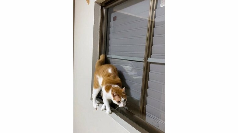 反対側に後ろ足をおろして、華麗なUターン成功！