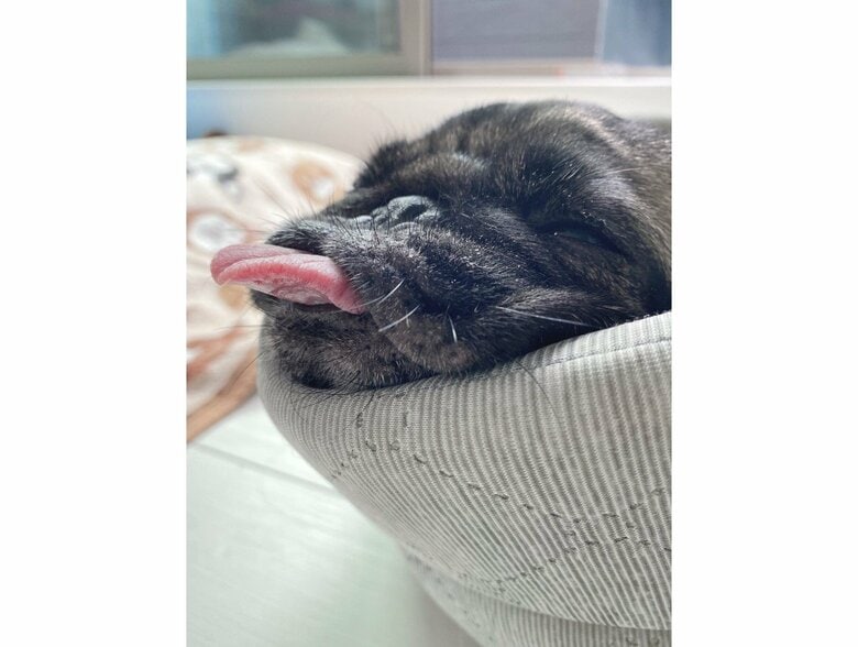 提供：ボンさん