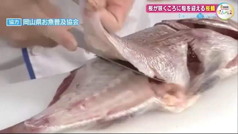 原田会長による桜鯛の調理の実演