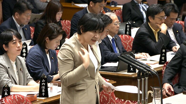 質問する立憲・岸真紀子参院議員