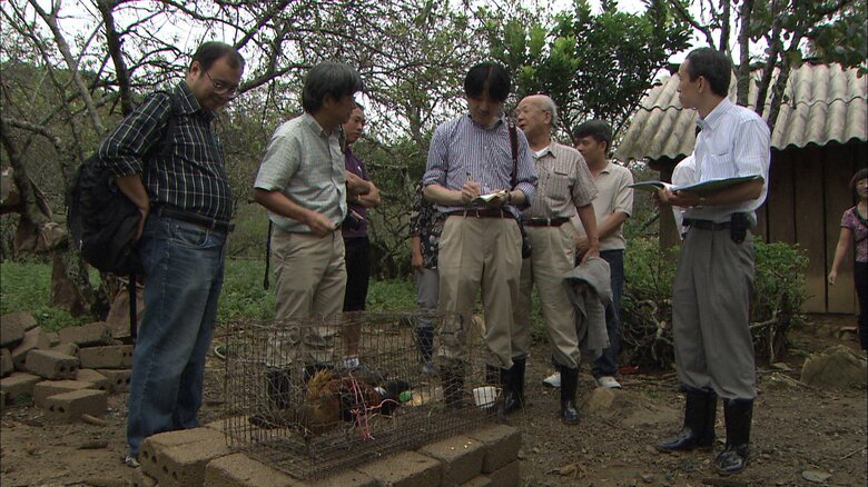 ベトナムで家禽を調査された秋篠宮さま　2012年