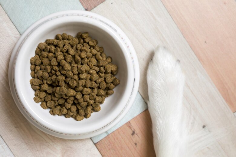 餌を残したりすることも（画像はイメージ）