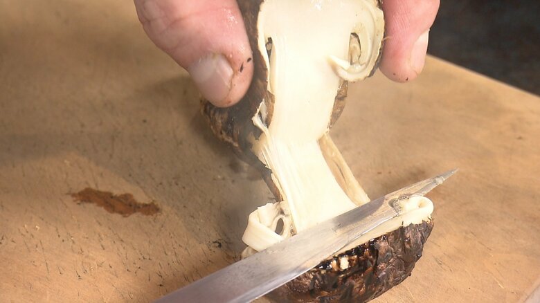 香り・味共に“秋の味覚の王様”にふさわしいマツタケ