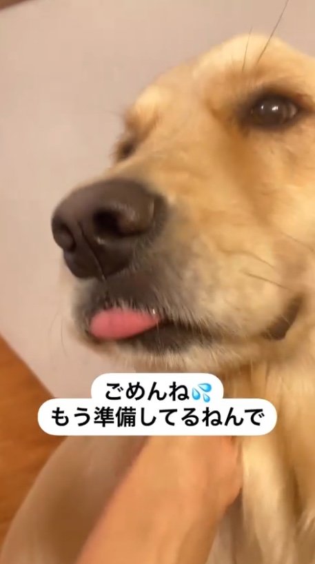 提供：エマさん