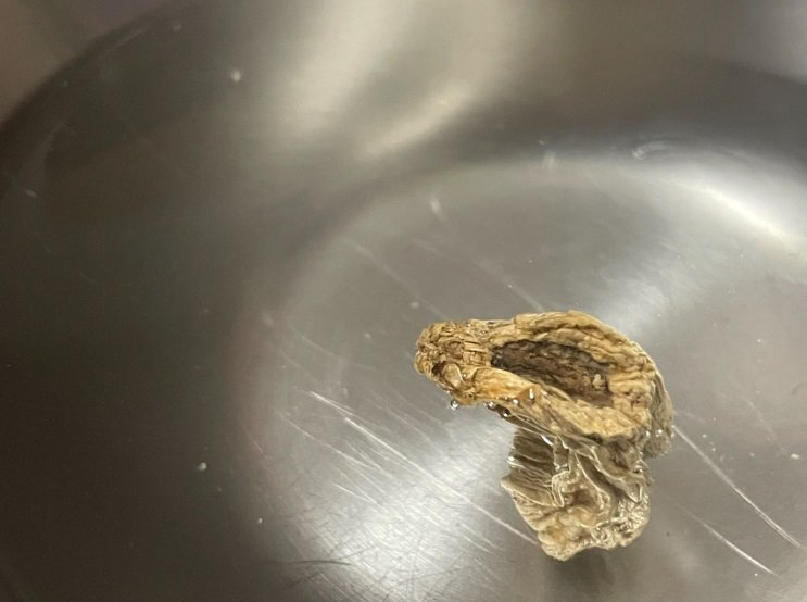 水に入れたばかりのしょうが。まだカッチカチ