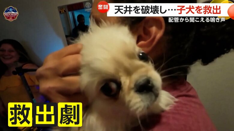 「何をそんなに騒いでいるの？」とでも言いたげな様子で、カメラを見るアーチー君