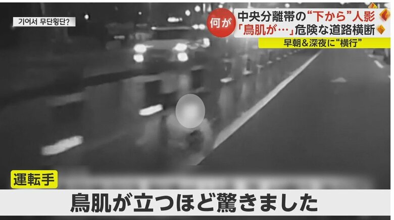 運転手は「鳥肌が立つほど驚いた」と振り返る