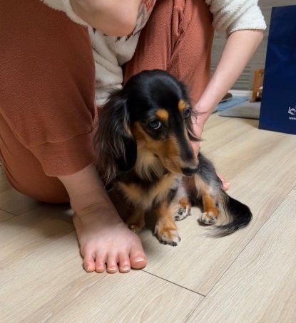 病院に行った後の、ちょっとご機嫌斜めなこうちゃん