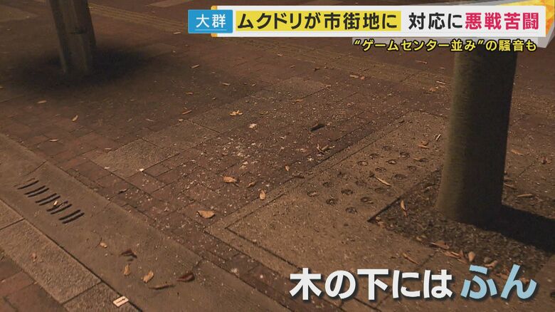 ふん害で「憤慨」