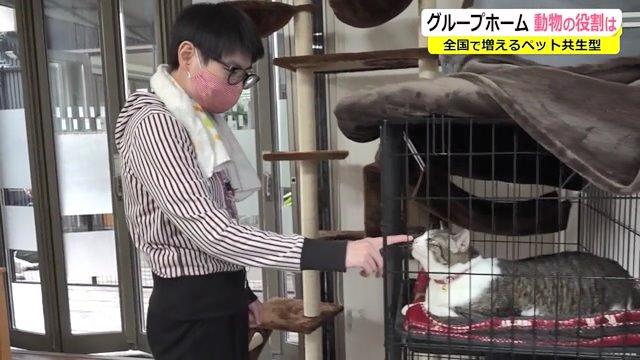 グループホーム「おーるわん」では動物が“同居”