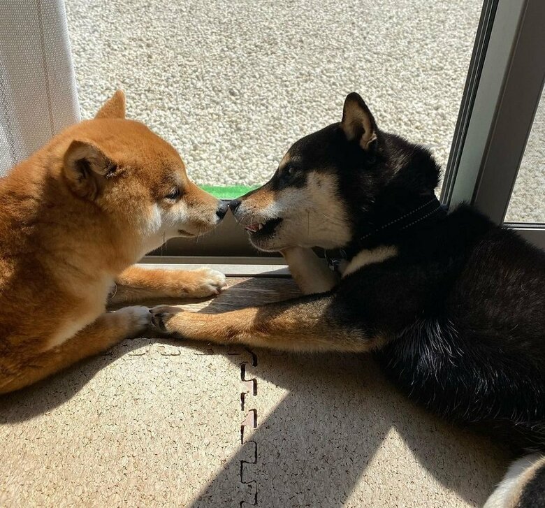 ひなたぼっこ