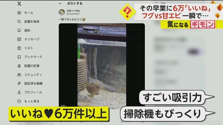 （ぶるーへゔんさん）