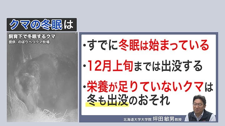 栄養が足りていないクマは冬も出没のおそれ