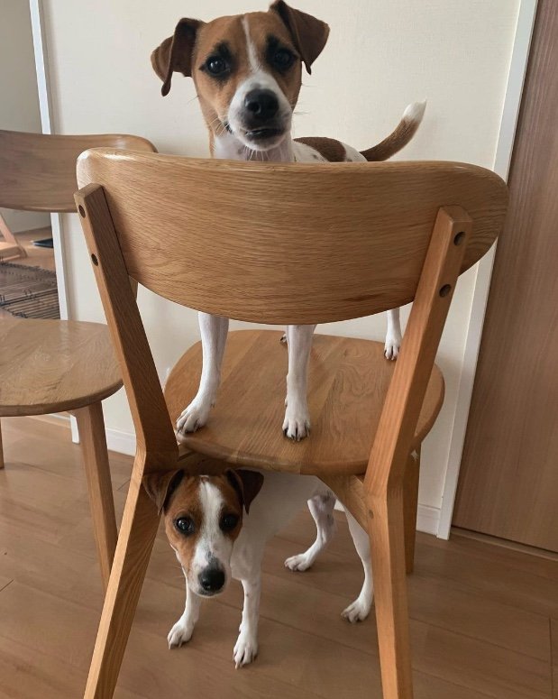 提供：あずもなさん