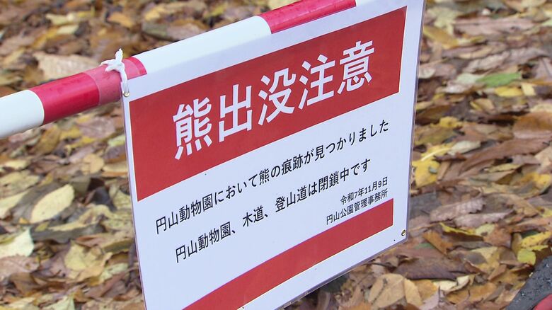 北海道神宮で目撃か