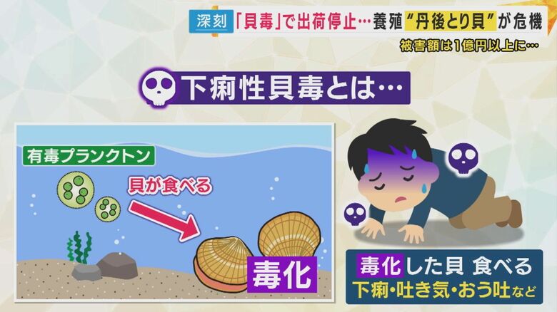 「下痢性貝毒」とは