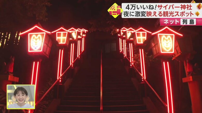 夜になると一変、LEDで華やかにライトアップ