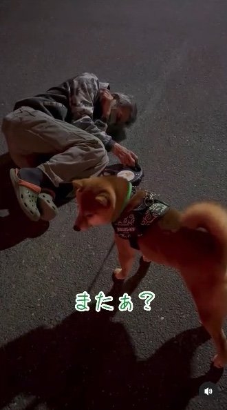 提供：カンさん