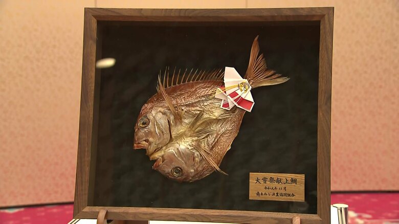 大嘗祭献上鯛