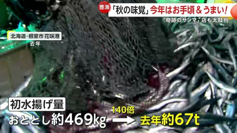 根室・花咲港では2024年サンマの水揚げが大幅増