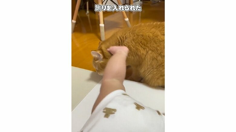 息子さんの蹴りがこまるくんにヒット！