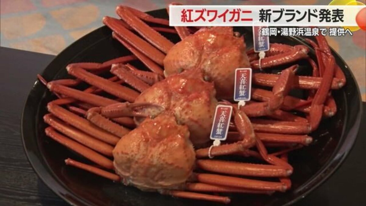 安くておいしい”紅ズワイガニの新ブランド「天喜紅蟹」湯野浜温泉で