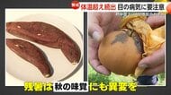 農家が悲鳴…収穫間近の梨に“黒いシミ”　高温障害の「日焼け」廃棄で被害額は約100万円　9月の3連休は「熱帯じょう乱」に要注意