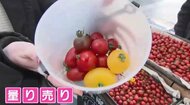 安納芋がおでんに!? 博多駅前に“九州の旬”が約240店集結　皮が薄すぎる希少トマトも　生産者直伝の「おいしい」大集合　福岡