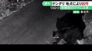 地点によってはエサが“凶作”と判定…冬眠前のツキノワグマの出没予測を愛知県が発表 人の生活圏に現れる恐れが高まる地域も