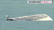 辺野古沖転覆事故　船は斜め前方から高波受けたか