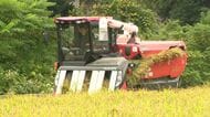 【新米】北海道で収穫始まる…店頭価格は5キロ3300円で去年より2割以上安く…肥料や機械など経費は上昇 コメ増産で農地を拡大した農家は悲鳴「小さい農家は確実に赤字に」