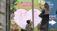 【山積みの問題】違法建築のノースサファリサッポロ 20年の歴史に幕―トラなど“特定動物”の受け入れ先確保は難航 従業員の雇用も課題に＜北海道＞