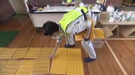 災害時に障害者が取り残されないために 西日本豪雨の教訓などから生まれた「携帯用点字ブロック」