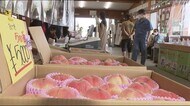 福島県・五輪会場近くの果樹園「世界中から来るお客さんに食べてほしかった…」こぼれる本音