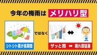 猛暑と大雨「メリハリ梅雨」は災害リスクも高まる　経験に頼らず新たな防災をアップデート　激甚化する気象災害には“過去を超える”備えを　
