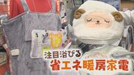 「省エネ家電」と組み合わせて電気料金を節約!　「プラス温める」が人気【新潟発】